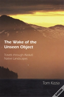 Capa do artigo The Wake Of The Unseen Object