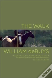 Capa do artigo The Walk