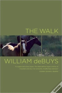 Capa do artigo The Walk