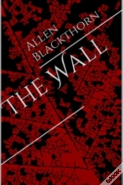 Capa do artigo The Wall