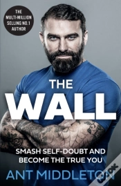 Capa do artigo The Wall