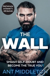 Capa do artigo The Wall