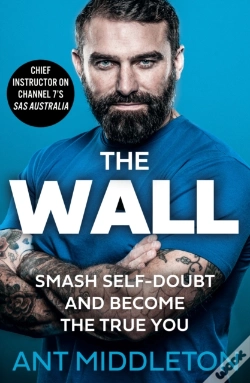 Capa do artigo The Wall
