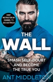 Capa do artigo The Wall