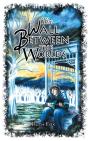 The Wall Between The Worlds - Preview