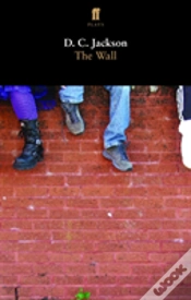 Capa do artigo The Wall
