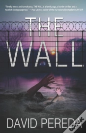 Capa do artigo The Wall