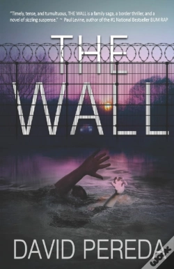 Capa do artigo The Wall