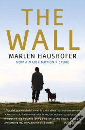 Capa do artigo The Wall