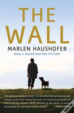 Capa do artigo The Wall