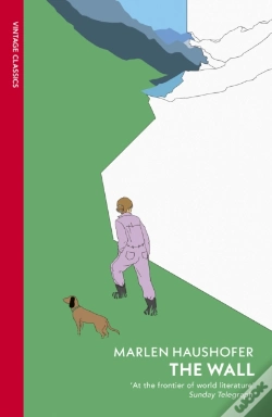 Capa do artigo The Wall