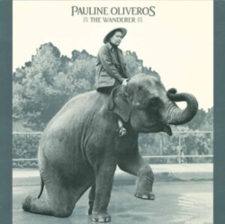 Capa do artigo The Wanderer - Vinil