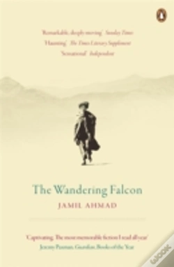 Capa do artigo The Wandering Falcon