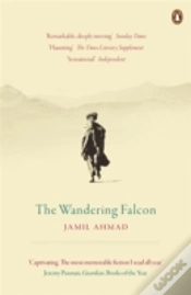 Capa do artigo The Wandering Falcon