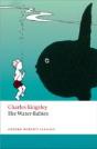 The Water -Babies - Preview