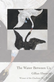 Capa do artigo The Water Between Us