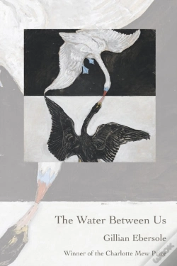 Capa do artigo The Water Between Us