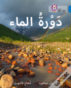 The Water Cycle