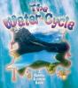 The Water Cycle - Preview