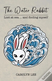 Capa do artigo The Water Rabbit