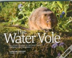 Capa do artigo The Water Vole