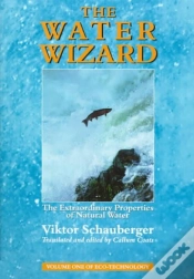 Capa do artigo The Water Wizard