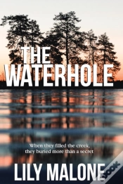 Capa do artigo The Waterhole