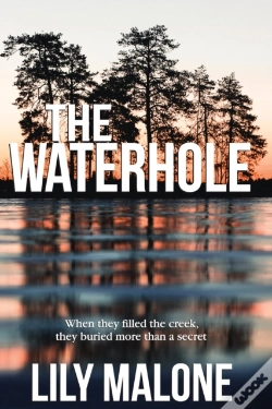 Capa do artigo The Waterhole