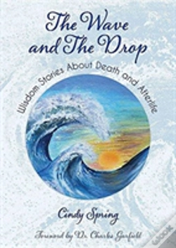 Capa do artigo The Wave And The Drop