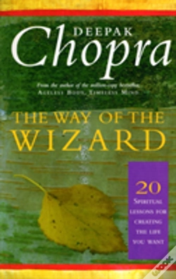 Capa do artigo The Way Of The Wizard
