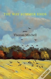 Capa do artigo The Way Summer Ends