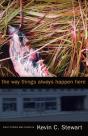 The Way Things Always Happen Here - Preview