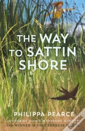 Capa do artigo The Way To Sattin Shore