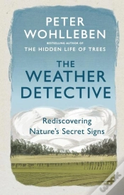 Capa do artigo The Weather Detective
