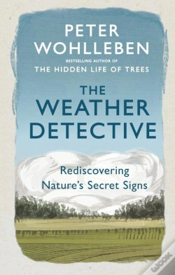 Capa do artigo The Weather Detective