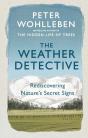 The Weather Detective - Preview