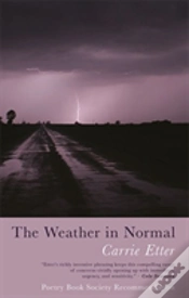 Capa do artigo The Weather In Normal