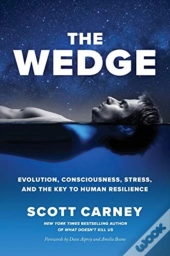 The Wedge