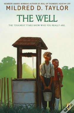 Capa do artigo The Well