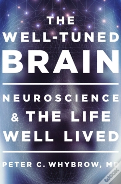 Capa do artigo The Well-Tuned Brain