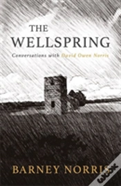 Capa do artigo The Wellspring