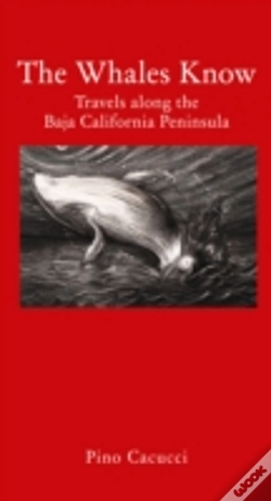 Capa do artigo The Whales Know