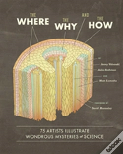 Capa do artigo The Where, The Why, And The How
