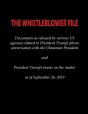 The Whistleblower File - Preview