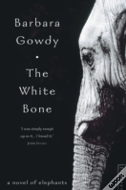 Capa do artigo The White Bone
