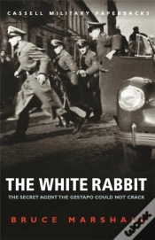 Capa do artigo The White Rabbit