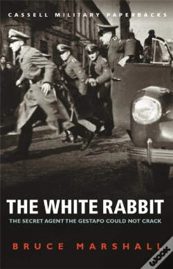 Capa do artigo The White Rabbit