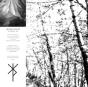 The White - Vinil - Preview