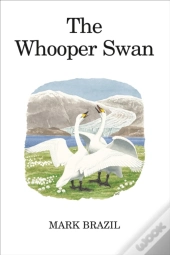 The Whooper Swan