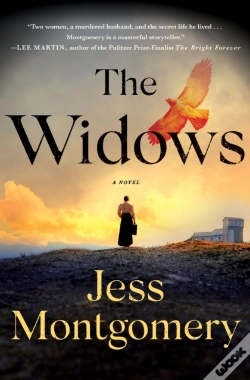 Capa do artigo The Widows